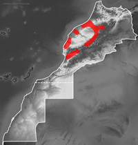 Range map of Blanus mettetali
