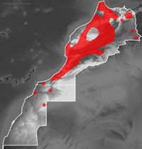 Mapa de distribución de Daboia mauritanica