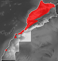 Mapa de distribución de Tarentola mauritanica