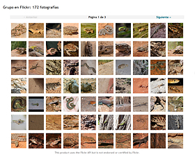 MH Flickr Group