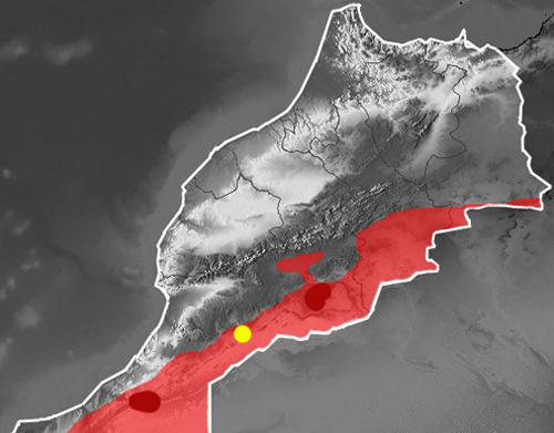Distribution map Echis leucogaster in Morocco
