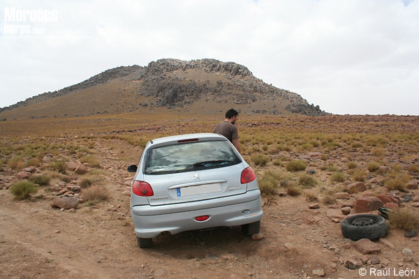 Jebel Sirwa