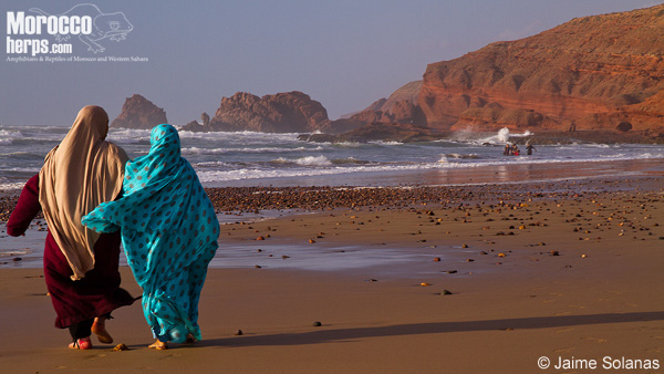 Playa en Sidi ifni