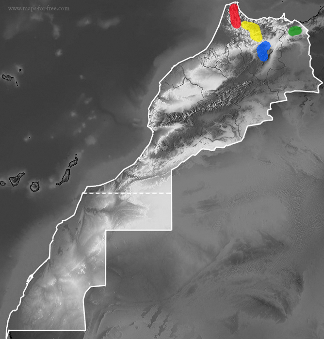 Salamandra algira map. tingitana spelaea atlantica splendens